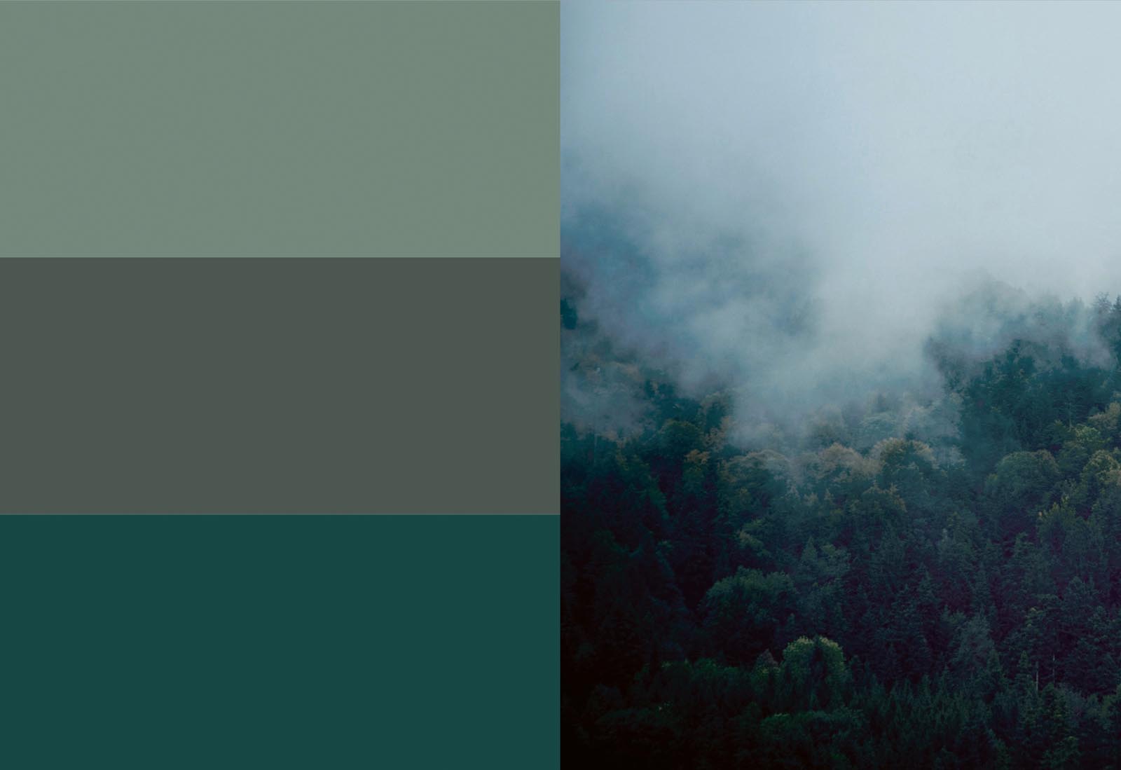 Treku Color Research the greens